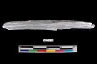 藏品(石棉)的圖片